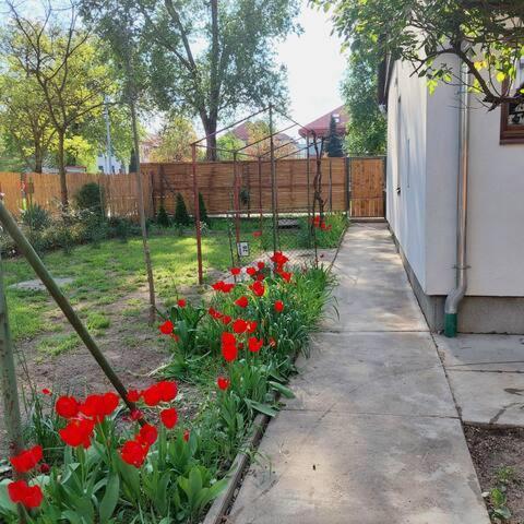 Ujszeged Apartman 외부 사진