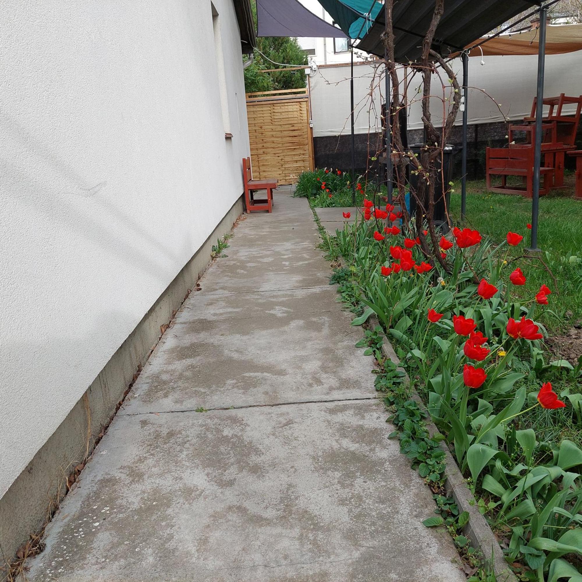 Ujszeged Apartman 외부 사진